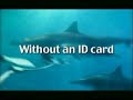 Egypt Tourism Ad