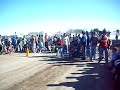 Picadas En Arequito