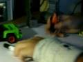 böse playmobil männchen