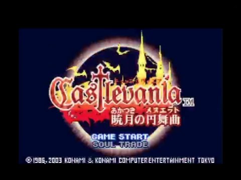 動画