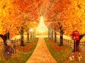Azeri Music Instrumental - Arzu Qizim (New Version) Azeri Music Instrumental - Arzu Qizim (New Version)