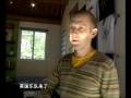 videos de Plastered T shirts