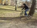 treeride
