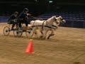 scurrydriving