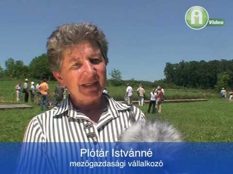 K�lts�ghat�kony termel�s talajk�m�l� m�vel�ssel