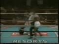 Lord Skitso (Mike Tyson Knockouts) Lord Skitso (Mike Tyson Knockouts)