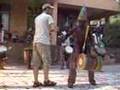 Soleil d'Afrique chez Mamady Keita_2008