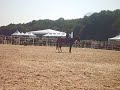 d�mo de thierry lhermitte avec son nv cheval, accompagn� d'andy booth