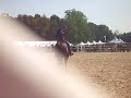 d�mo de thierry lhermitte avec son nv cheval, accompagn� d'andy booth