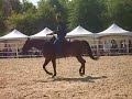 d�mo de thierry lhermitte avec son nv cheval, accompagn� d'andy booth