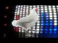 Techno Kip / Techno Chicken Techno Kip / Techno Chicken