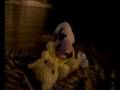 videos de my little puppy pitbull