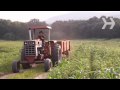 How To Set Up a Hayride