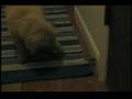 Juneau attacks the door bumper