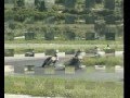 Coppa Nazionale del Mediterraneo UISP --Melilli-- Supermotard