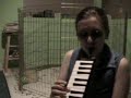 Mame on Melodica
