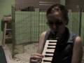Mame on Melodica