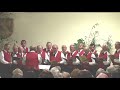 M�nnerchor Neusch�nau: \"Heimat, Deine W�lder\"