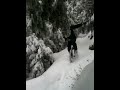 Offroad Snow Unicycling