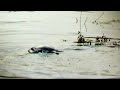 「荒川アンダーザブリッジ」PV