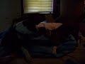 Maggie & Clark (boxers)