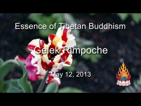 how to love buddhism