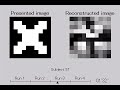 Neuron: Scientists extract images directly from brain