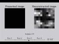 Neuron: Scientists extract images directly from brain