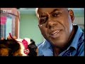 Try shark and guinea pig – Food to eat before you die — BBC