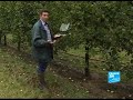 FRANCE24-EN-Report- A way to reduce pesticide