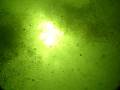 videos de Buceo de Altitud en Segunda Usina
