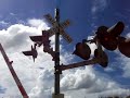 Chasing the Tropicana Train Part 1 Chasing the Tropicana Train Part 1