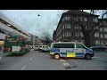 Br�k om hund p� Dalaplan