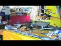 Thunder Tiger » Innovator MD530