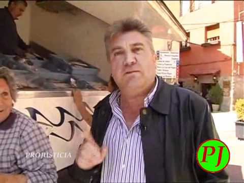 Projusticia. Repor