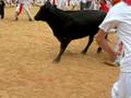 videos de Running of the bulls inside the ring