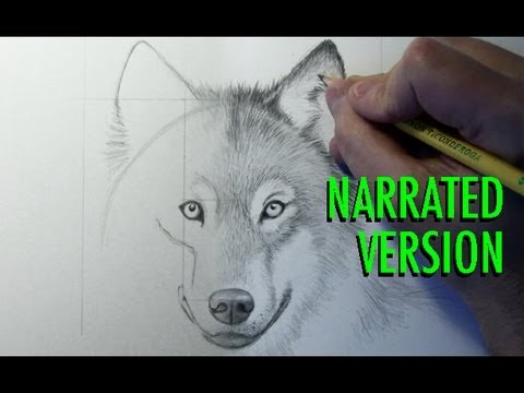 how to draw step by step a wolf