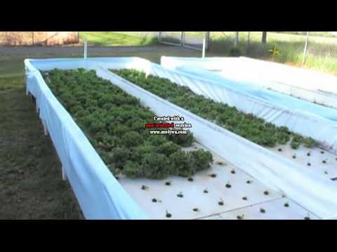 Medium sized Nelson and Pade aquaponic hydroponic raceways