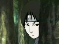 As lagrimas da Sakura