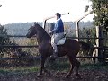 Equitaci�n y Palanquineria en la Centenaria