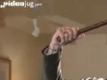 how-to-crack-a-whip-like-indiana-jones.html