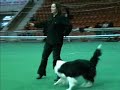 Dog Dancing
