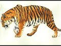 Acuarelas de naturaleza de Andrés Marín