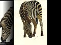 Acuarelas de naturaleza de Andrés Marín