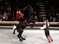 This is Rene Gassers Horse Apollo in a recent show by El Caballo Blanco