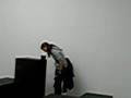 Adventures at the White Cube Gallery! (Intervention)