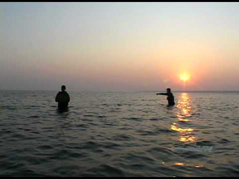 Cranes Beach Surfcasting and Nantucket Albies