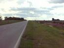 Tarde Pistera Tarde Pistera