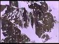 Farmer's Way rap video from Critical Condition - 1991