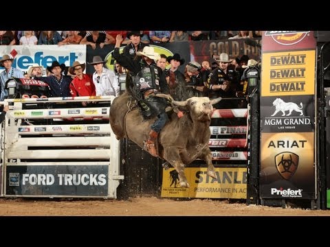 how to train pbr bulls